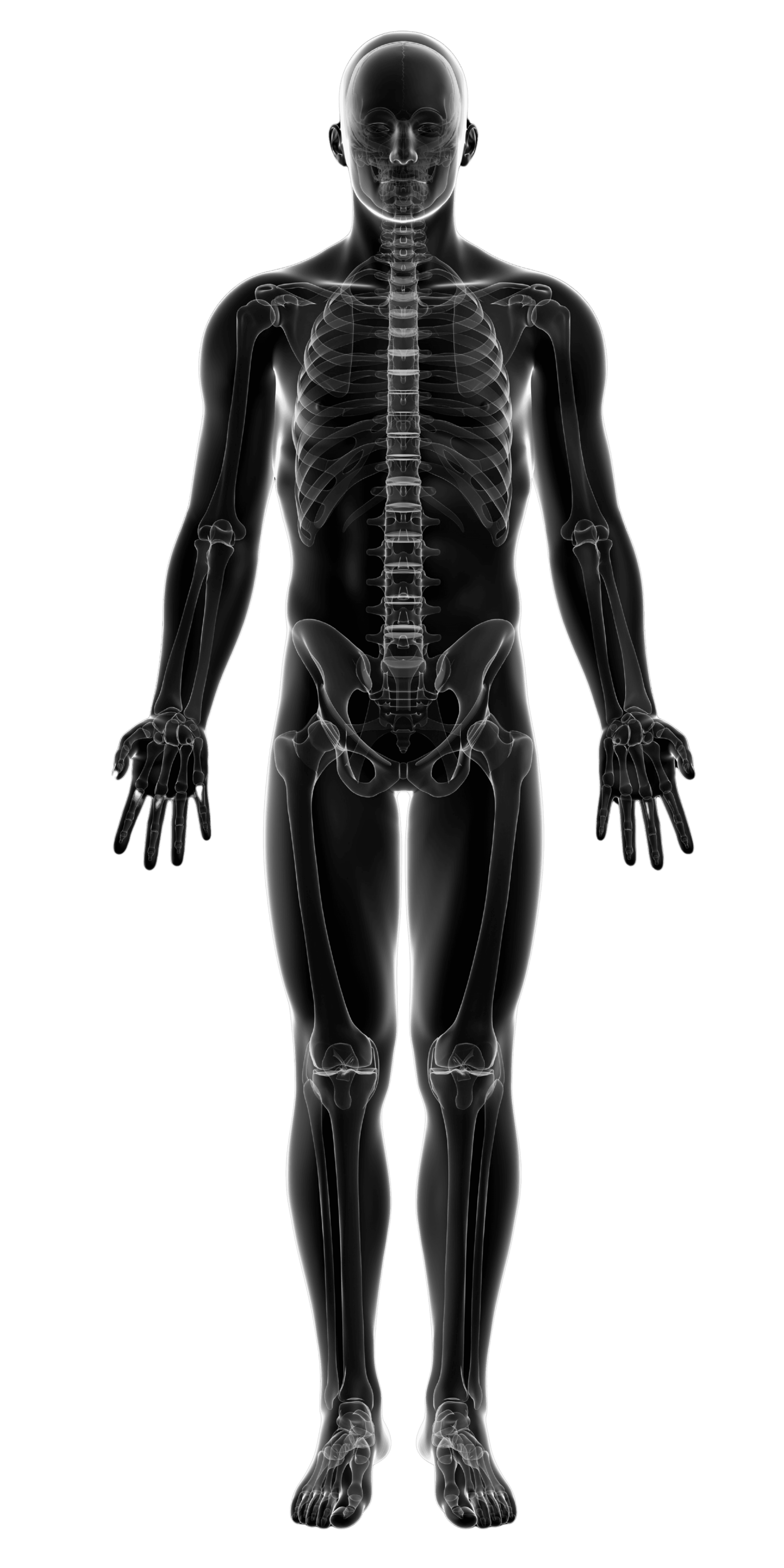 Full body joint pain selector